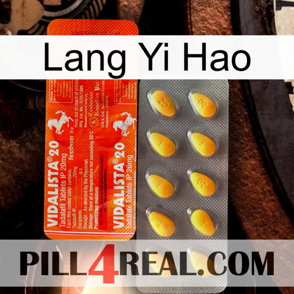 Lang Yi Hao new01.jpg